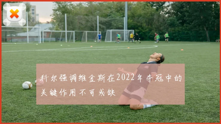 科尔强调维金斯在2022年夺冠中的关键作用不可或缺